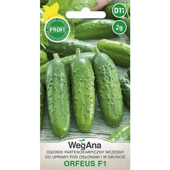 Ogórek Orfeus (F1) 2g - WegAna