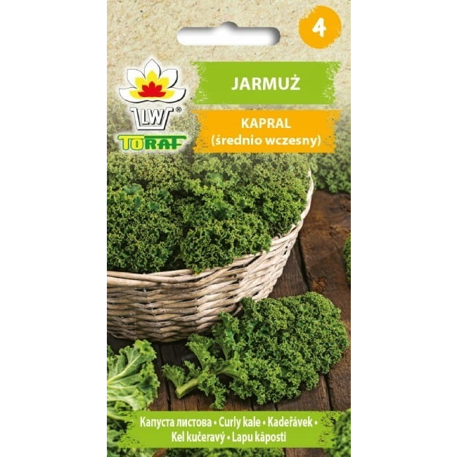 Jarmuż Kapral 1g - TORAF