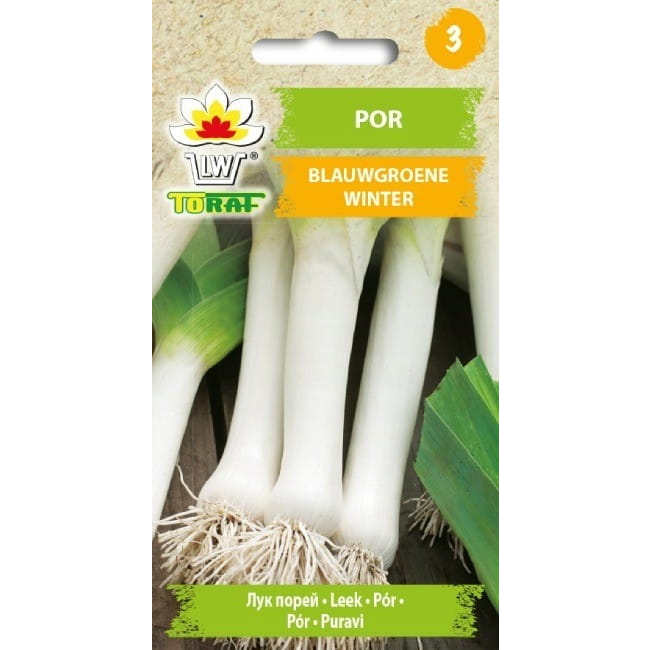 Por Blauwgroene Winter 1g - TORAF