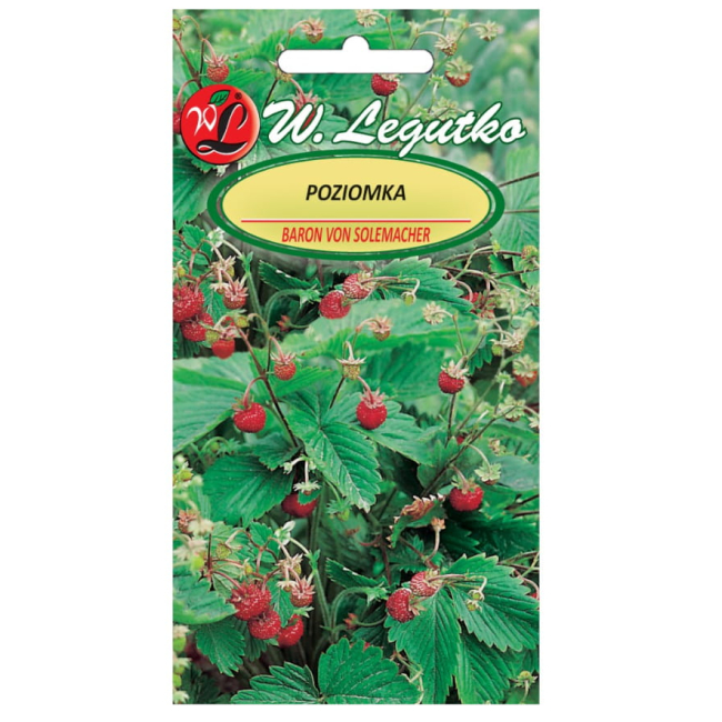 Poziomka Baron von Solemacher nasiona 0.2g - W. Legutko