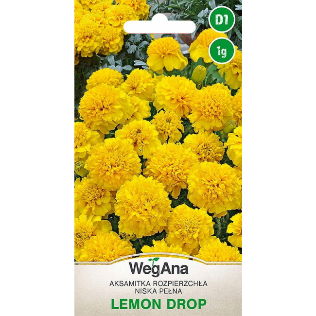 Aksamitka Rozpierzchła żółta niska Lemon Drop 1g - WegAna