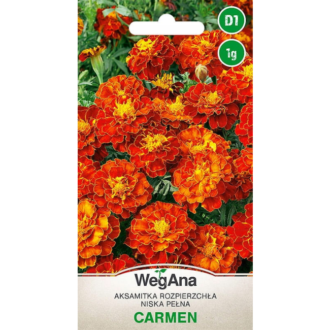 Aksamitka Rozpierzchła niska Carmen 1g - WegAna