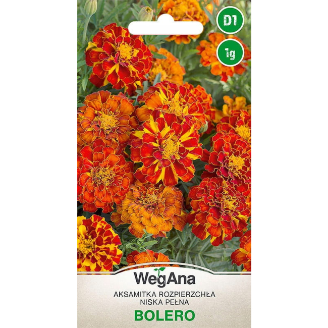 Aksamitka Rozpierzchła niska Bolero 1g - WegAna
