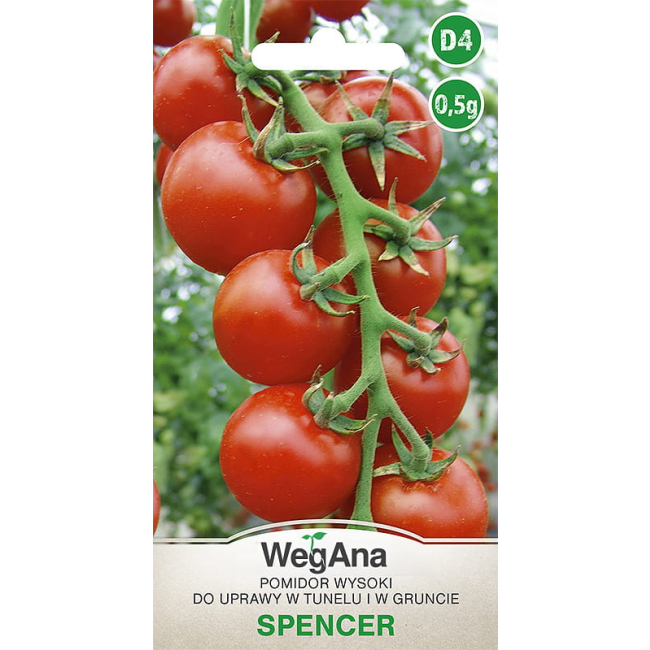 Pomidor Spencer 0,5g - WegAna