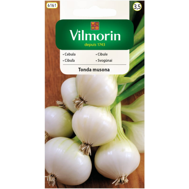 Cebula Tonda Musona biała 2 g - VILMORIN