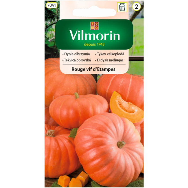 Dynia Olbrzymia Rouge vif d'Etampes 3g - VILMORIN