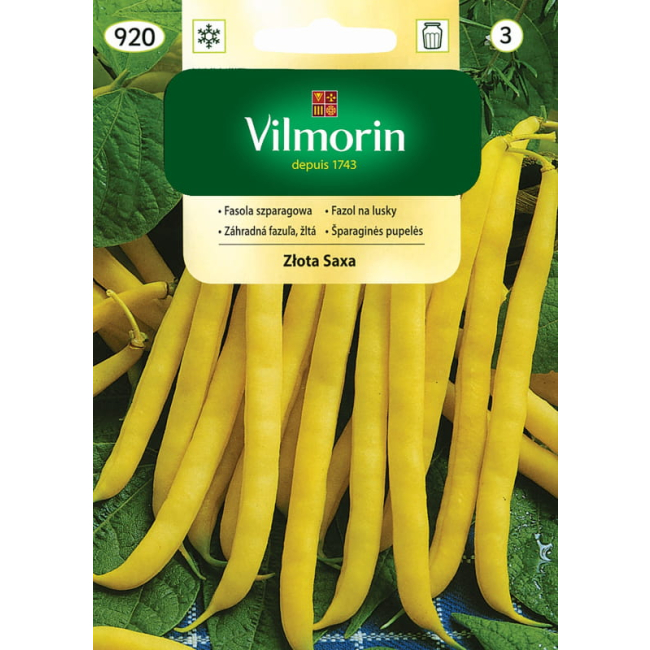Fasola Szparagowa Złota Saxa 30g - VILMORIN