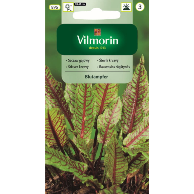 Szczaw Gajowy  Blutampfer 0,2g - VILMORIN