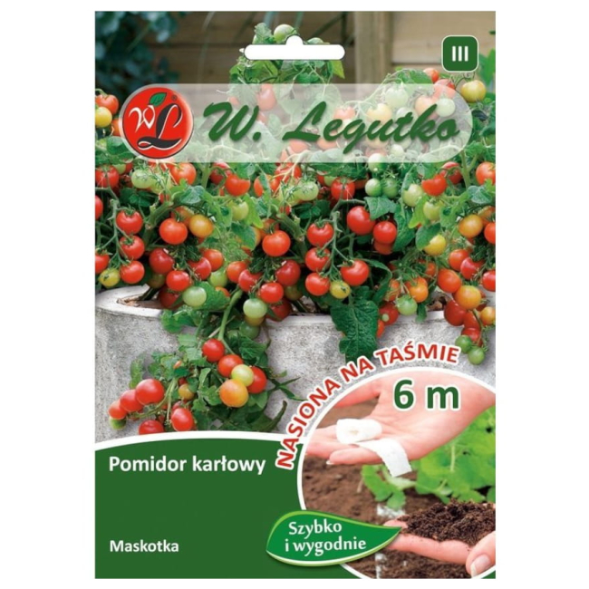 Pomidor Maskotka nasiona na taśmie 6m - W. Legutko