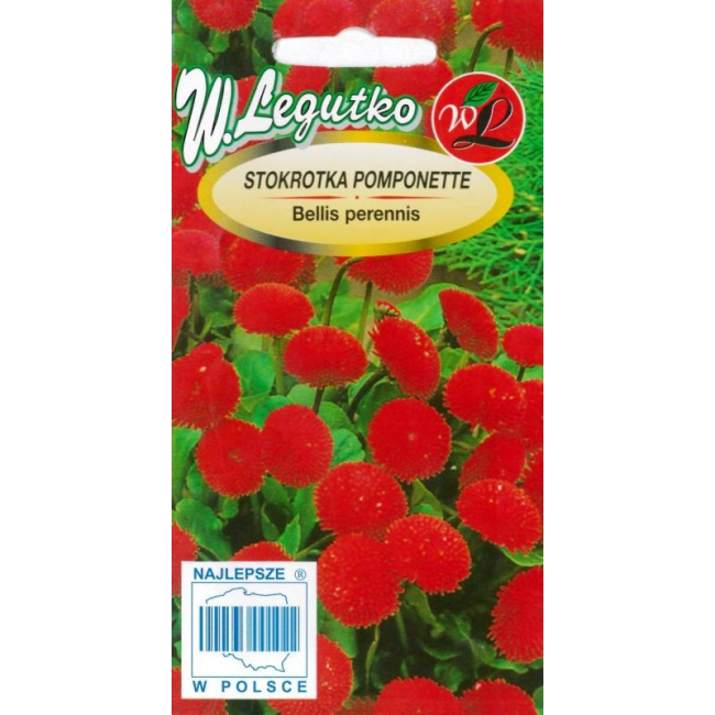 Stokrotka pospolita Pomponette czerwone nasiona 0,1g - W. Legutko