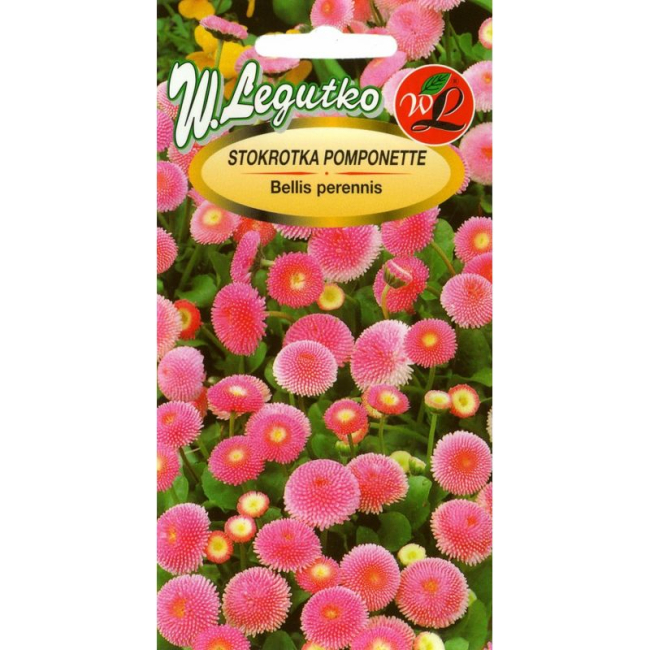 Stokrotka pospolita Pomponette różowa 0,1g - W. Legutko