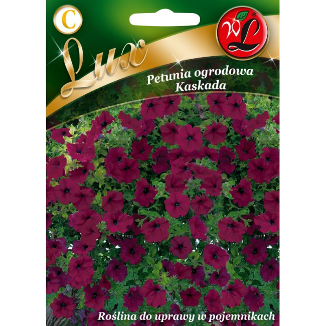 Petunia ogrodowa Kaskada purpurowa nasiona 0,02g - W. Legutko