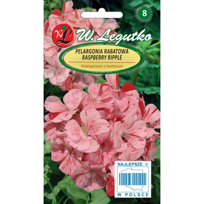 Pelargonia rabatowa Raspbery Ripple nasiona 0,04g - W. Legutko