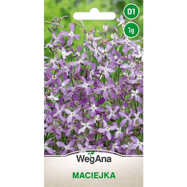 Maciejka 3g - WegAna