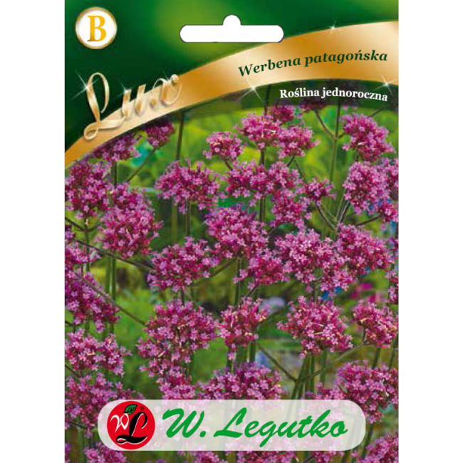 Werbena patagońska liliowa nasiona 0,3g - W. Legutko