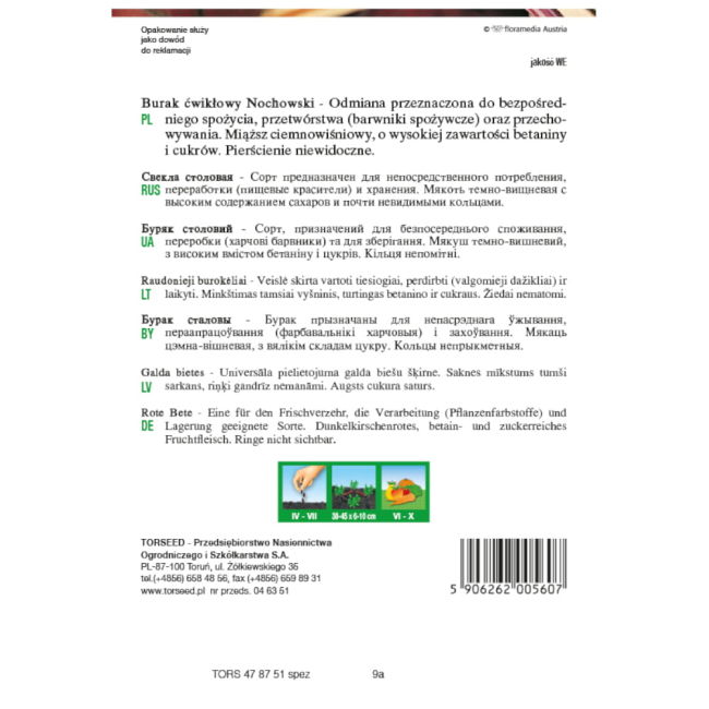 Burak ćwikłowy Nochowski nasiona 10g  - TORSEED