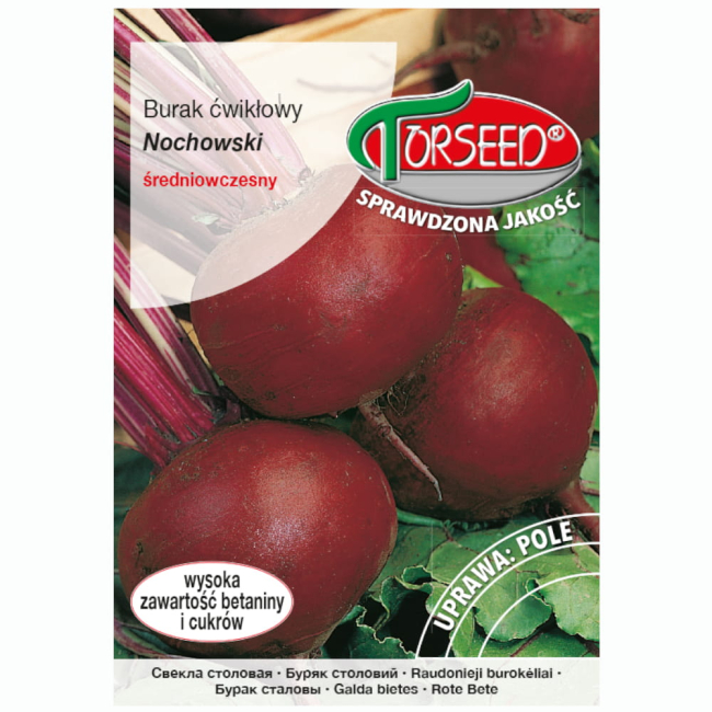 Burak ćwikłowy Nochowski nasiona 10g  - TORSEED