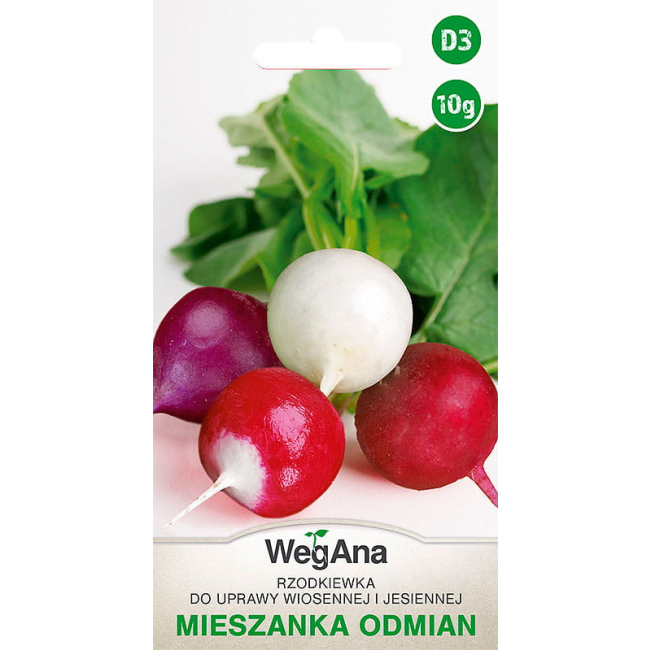 Rzodkiewka mieszanka odmian 10g - WegAna