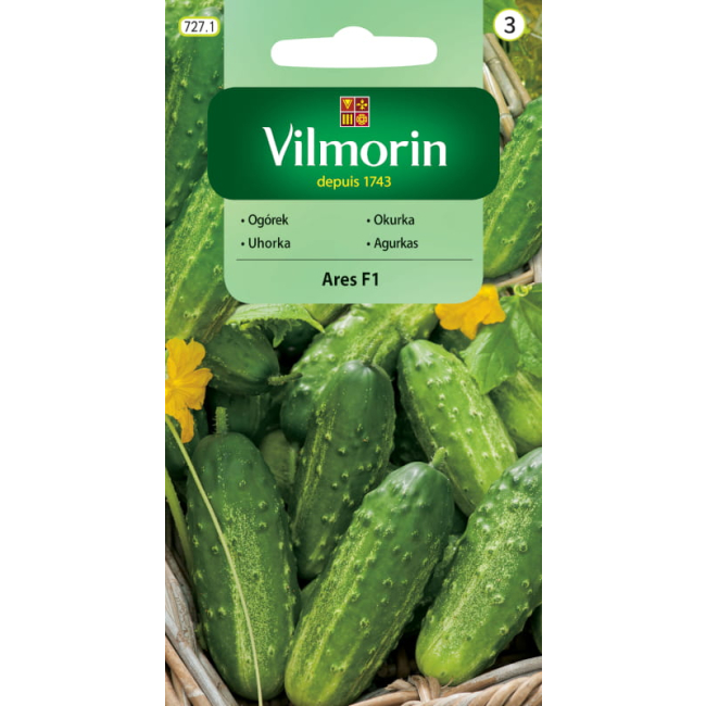 Ogórek  Ares F1 3g - VILMORIN