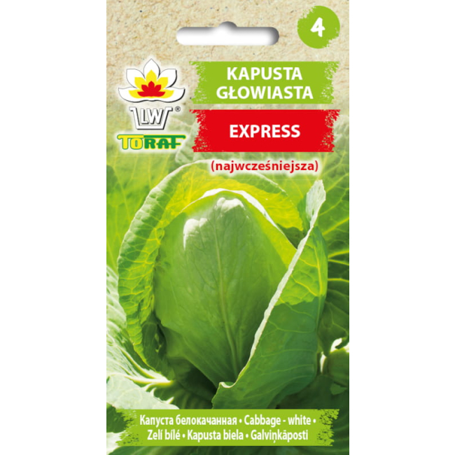 Kapusta głowiasta biała Express nasiona 1g - TORAF