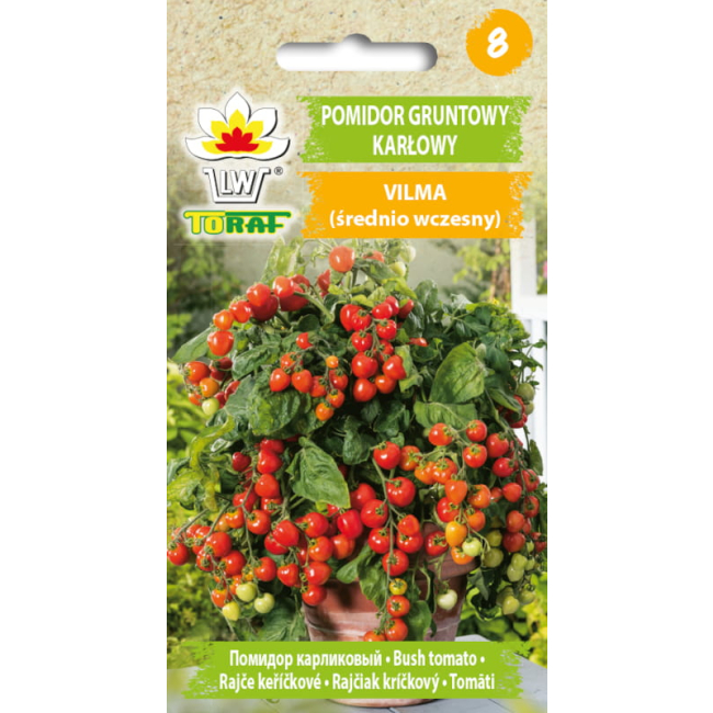 Pomidor gruntowy karłowy  Vilma nasiona 0,3g - TORAF