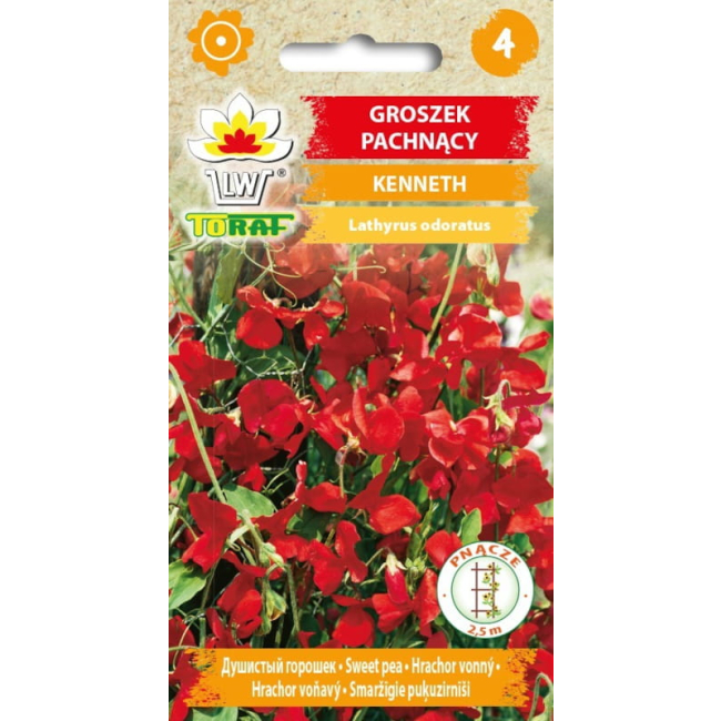 Groszek pachnący Kenneth nasiona 3g - TORAF