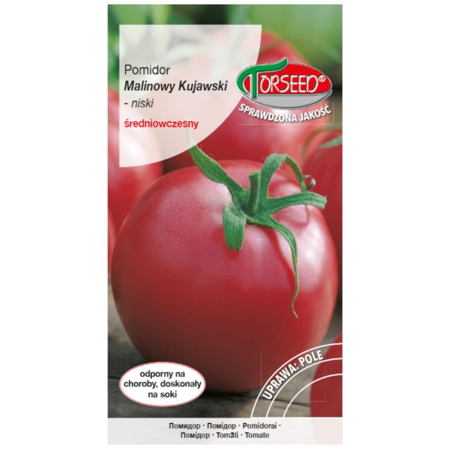 Pomidor Malinowy Kujawski 0,2g nasiona TORSEED
