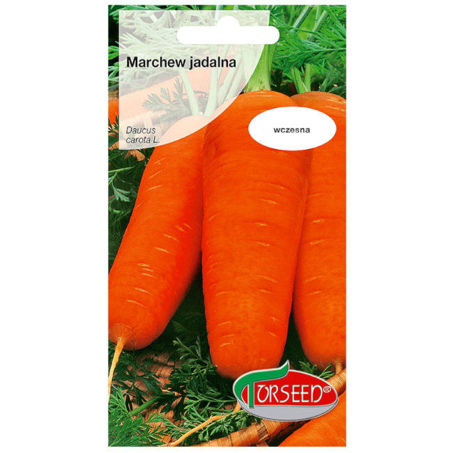 Marchew Chantenay nasiona 5g - TORSEED