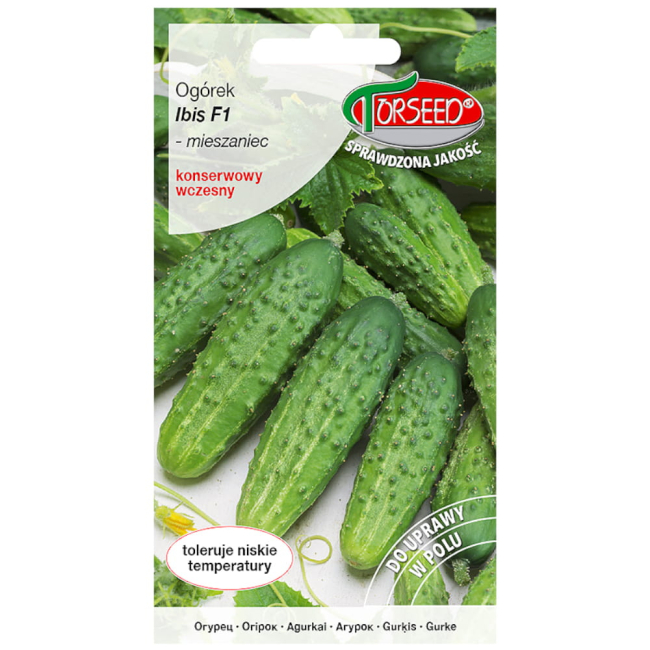 Ogórek Ibis F1 nasiona 3g -TORSEED