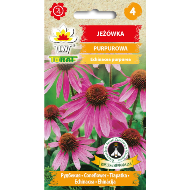 Jeżówka purpurowa 1g - TORAF
