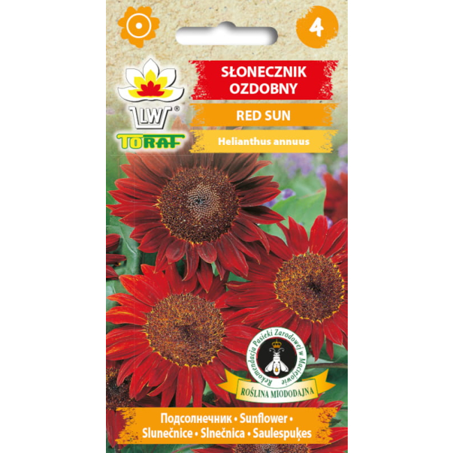 Słonecznik ozdobny Red Sun czerwony 2g - TORAF