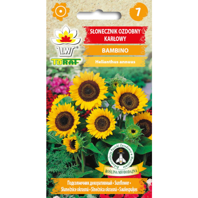 Słonecznik ozdobny karłowy Bambino 2g - TORAF
