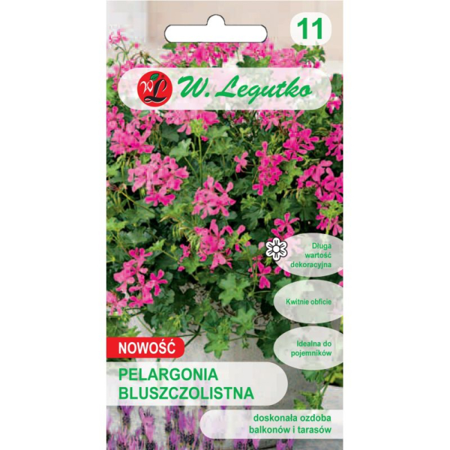 Pelargonia bluszczolistna Fuchsia F1 różowo-purpurowa 5 nasion - W. Legutko