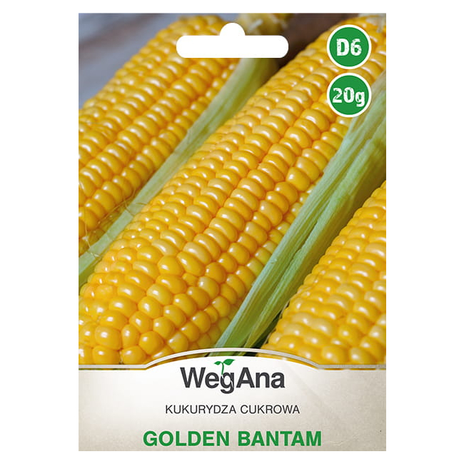 Kukurydza cukrowa Golden Bantam 20g - WegAna