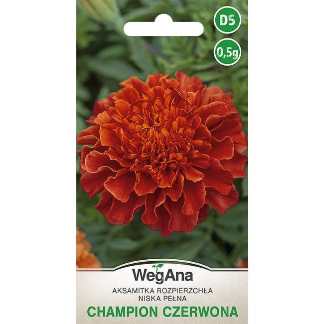 Aksamitka Rozpierzchła Champion czerwona 1g - WegAna