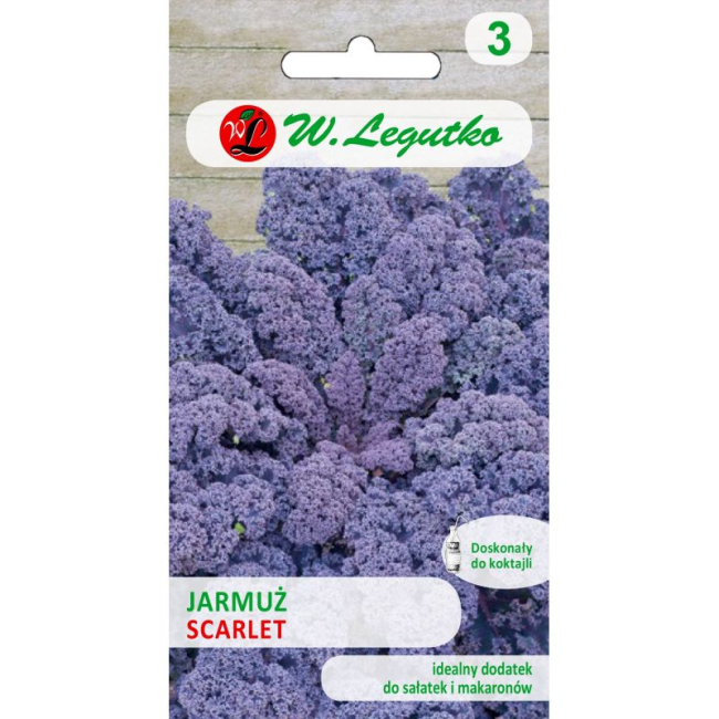 Jarmuż czerwony Scarlet 1g - W. Legutko