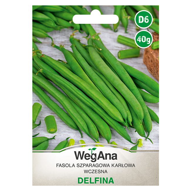 Fasola zwykła karłowa Delfina 40g - WegAna