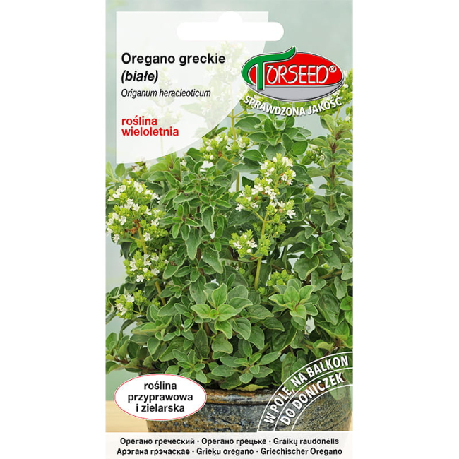 Oregano Greckie białe nasiona 0,1g  - TORSEED