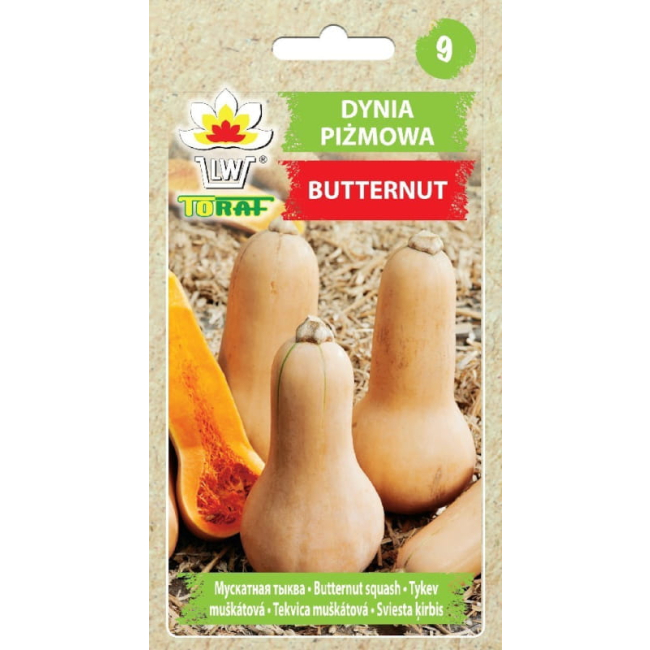 Dynia piżmowa Butternut nasiona 5g - TORAF