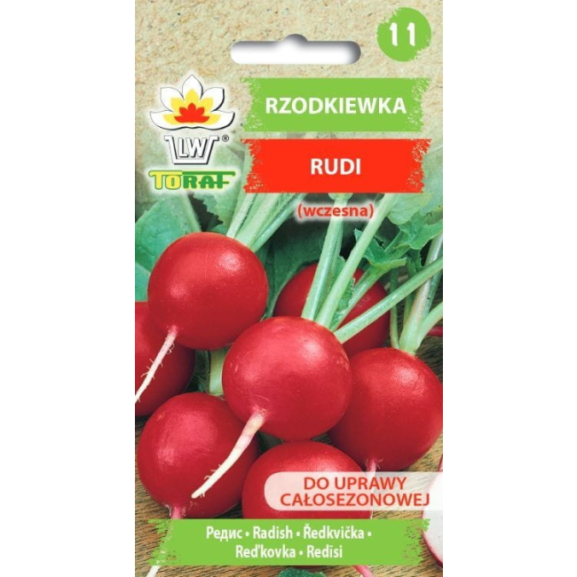 Rzodkiewka Rudi nasiona 5g - TORAF