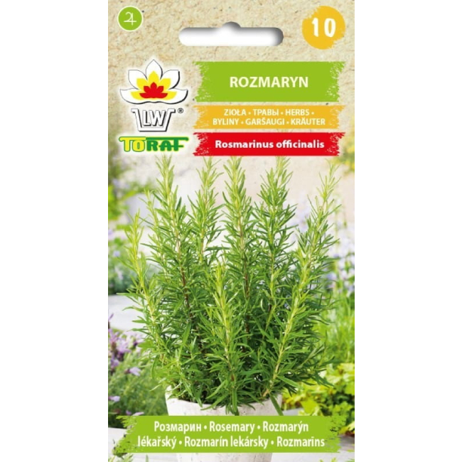 Rozmaryn nasiona 0,1g - TORAF