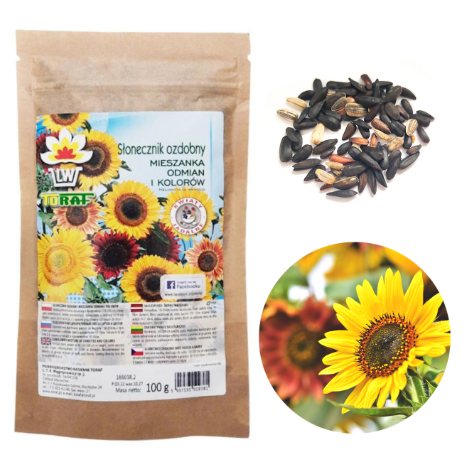 Słonecznik ozdobny mieszanka odmian i kolorów 100g- TORAF