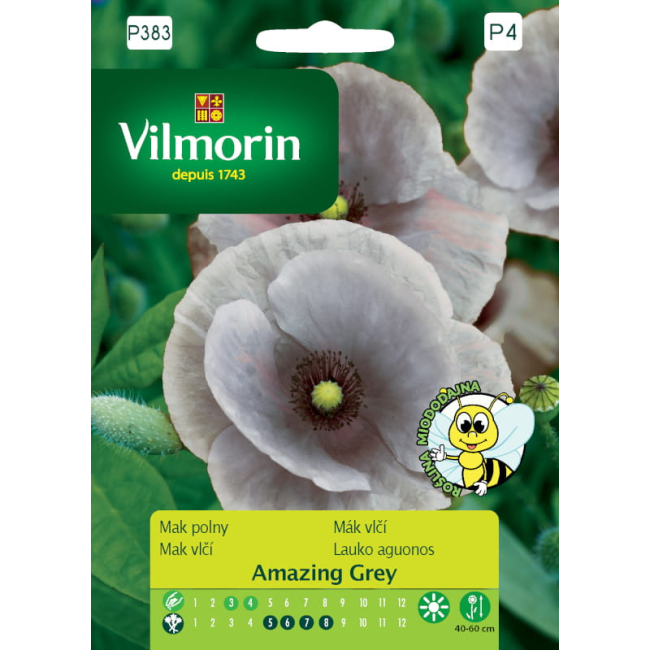 Mak polny Amazing Grey nasiona 0,1g - VILMORIN