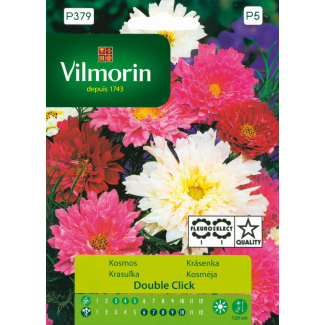Kosmos pełny Double Click mieszanka nasiona 0,5g - VILMORIN