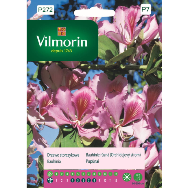 Drzewo Storczykowe nasiona 6g - VILMORIN