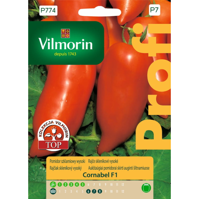 Pomidor szklarniowy Cornabel F1 nasiona 15 szt. - VILMORIN