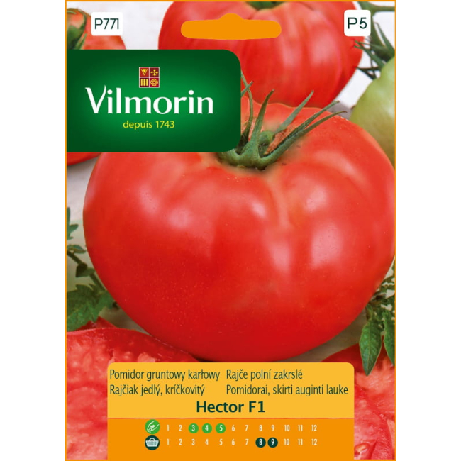 Pomidor gruntowy karłowy Hector F1 nasiona 0,1g - VILMORIN