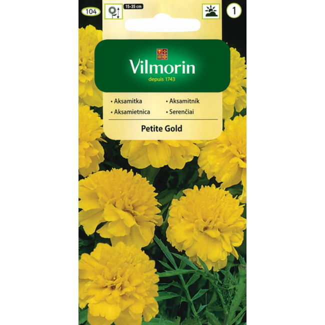 Aksamitka rozpierzchła pełna Petite Gold żółta nasiona 1g - VILMORIN