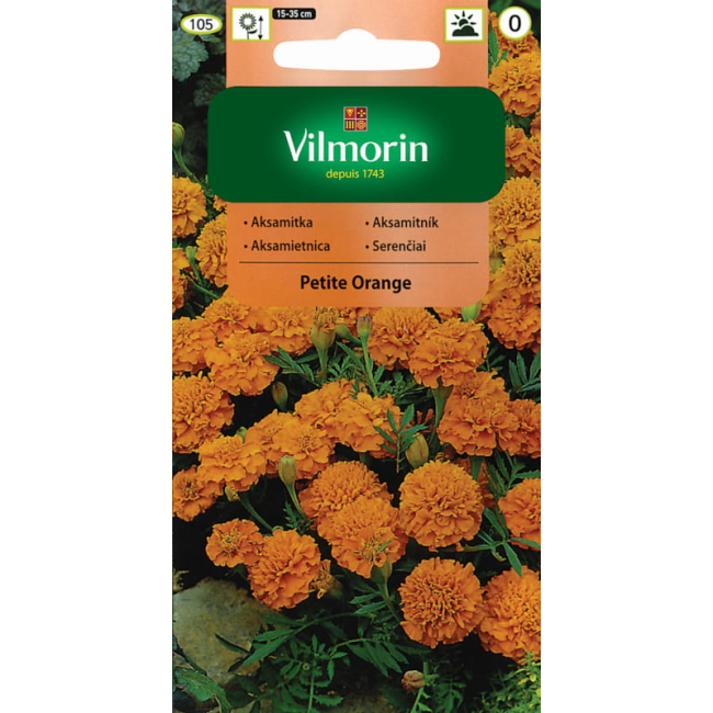 Aksamitka rozpierzchła pełna Petite Orange pomarańczowa nasiona 1g - VILMORIN