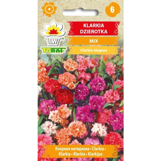 Klarkia Dzierotka mix nasiona 0,5g - TORAF